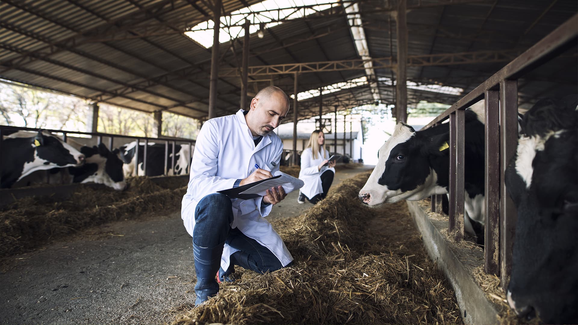 Silicona para el sector agrícola
